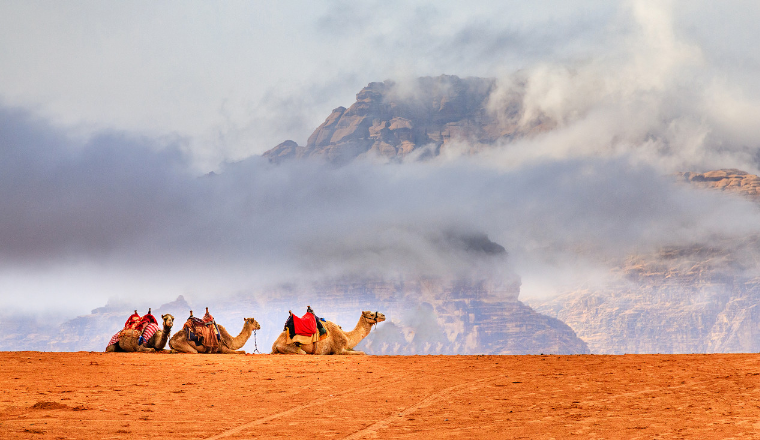走，去中东！雨果跨境启动“新市场商机探访”系列行