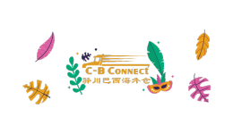 巴西监管升级！Anatel突击检查未认证产品，跨境卖家如何规避风险？