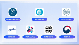 洞察全球商机——进出口数据查询工具选择指南
