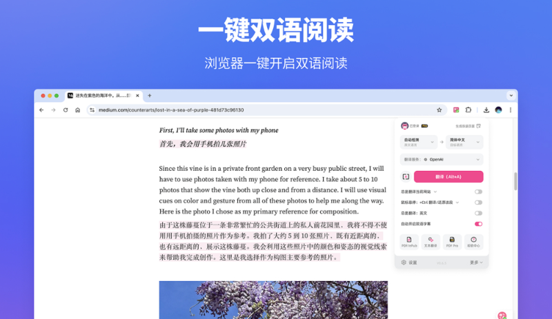 外贸独立站运营必备浏览器插件推荐 2025