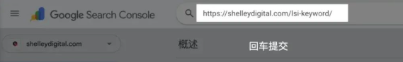 干货!什么是收录? 如何提交谷歌收录?