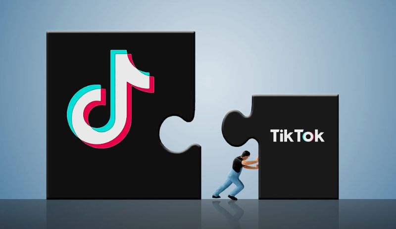 2025年上半年tiktok十大热门事件