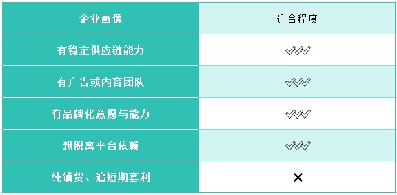 从租客到房东：独立站如何重构品牌出海的数据资产与利润空间？
