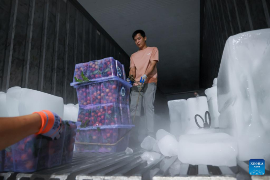 中国荔枝60一斤卖给迪拜土豪，中国水果征服世界！