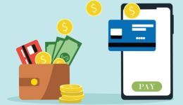 覆盖欧洲75%核心客群 PingPong成首批支持Wero交易的亚洲支付公司