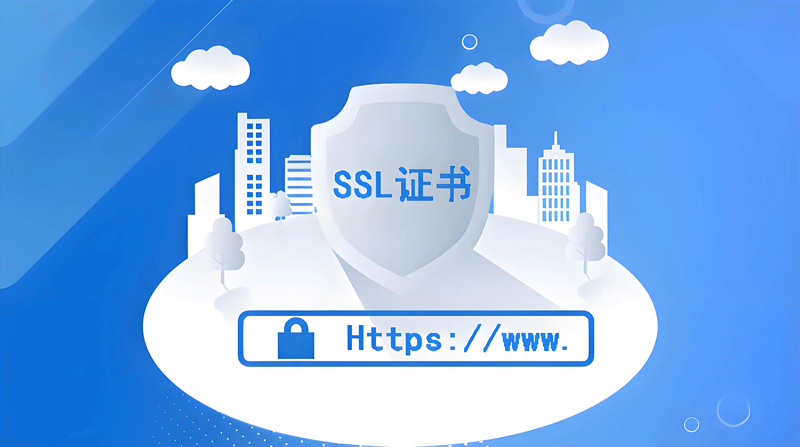 为什么SSL证书对跨境电商网站安全如此重要?