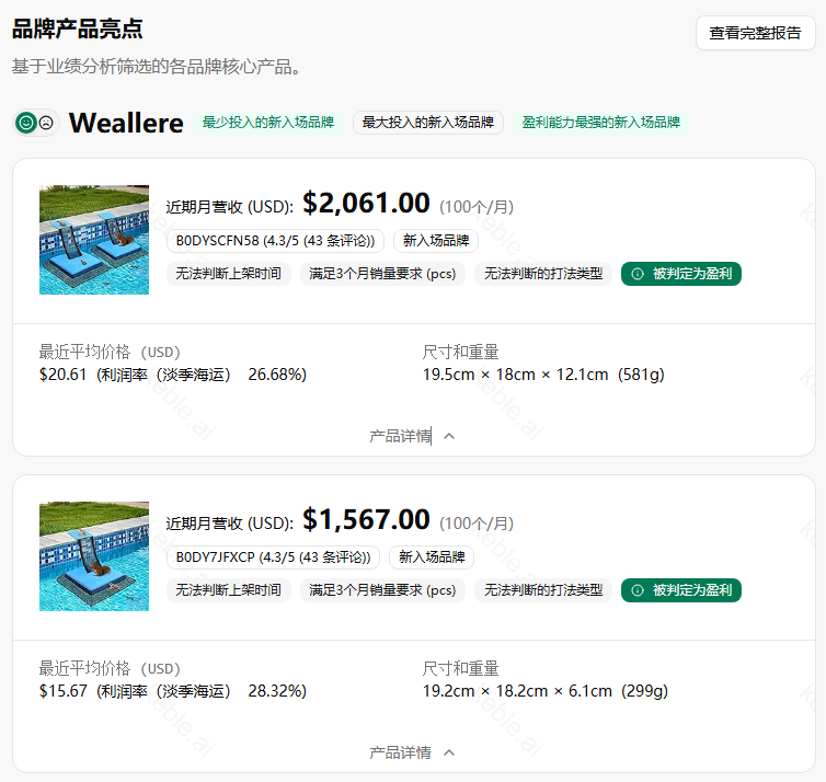 从 “小众刚需” 到 “市场突围”：Weallere 如何用 1.3 万美元击败泳池配件巨头？