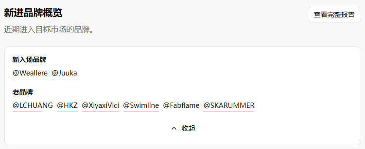 从 “小众刚需” 到 “市场突围”：Weallere 如何用 1.3 万美元击败泳池配件巨头？