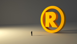 獨(dú)立站是什么？獨(dú)立站如何成為品牌出海的價值增長引擎？