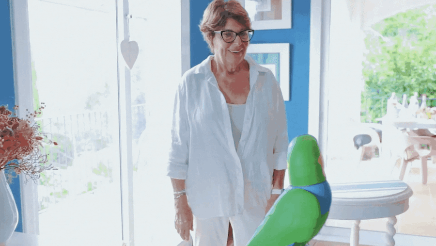 一只AI鹦鹉的启示：当银发经济遇上「情感革命」