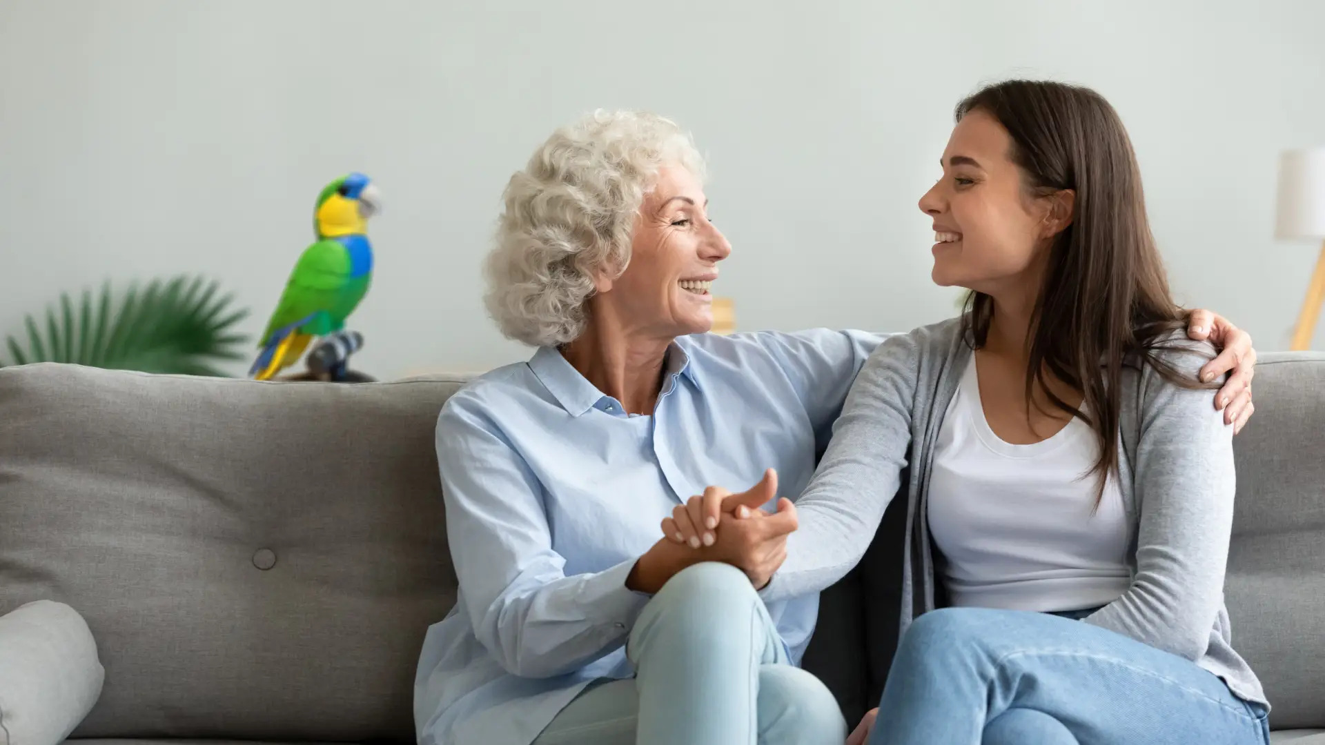 一只AI鹦鹉的启示：当银发经济遇上「情感革命」