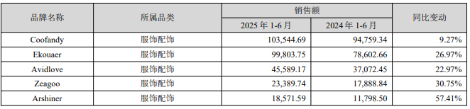 营收53亿暴涨28%！赛维时代半年报出炉，TikTok销售额狂飙424%