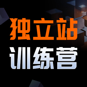 DTC出海峰会