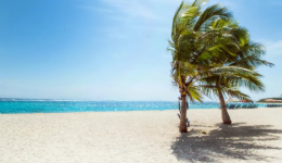 夏天快过完了，这个跨境平台却还在大量出货夏季商品？