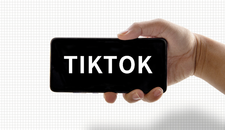 TikTok 短视频流量裂变指南：从有单到爆单，用传播力放大销量