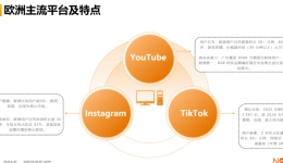 Nox聚星《2025年欧洲网红营销生态报告》:YouTube成B2B科技阵地、TikTok网红总量领先、社交商业融合缩短...