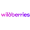 Wildberries标识