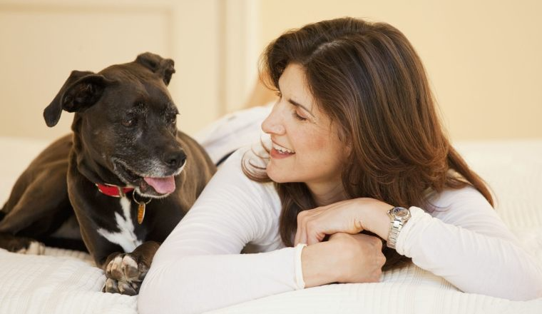 第二届CIPS&雨果跨境宠物品类研讨会来袭！免费开放珍贵的展商深度对接席位