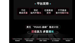 【TikTOK官方指南】2025黑五作战计划大图:三大升级,五大玩法