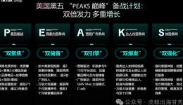 【TikTok官方攻略】2025黑五PEAKS分模块详细备战秘籍