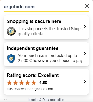 独立站优秀案例分析:办公桌品牌如何赢得高端用户?