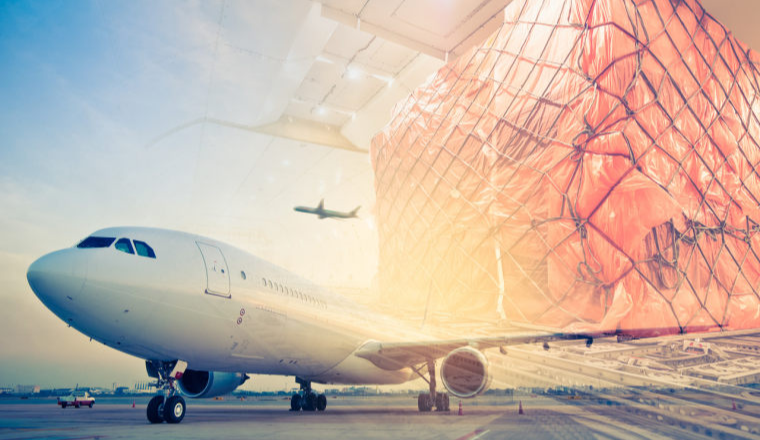 工艺品公司立美德亚马逊创佳绩，爆款“小乌龟”热销超百万件