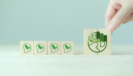 亚马逊气候友好计划CPF：现在加入，赢黑五流量！