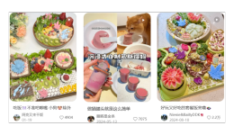 還在吃預(yù)制菜的人，讓寵物吃上了鮮食