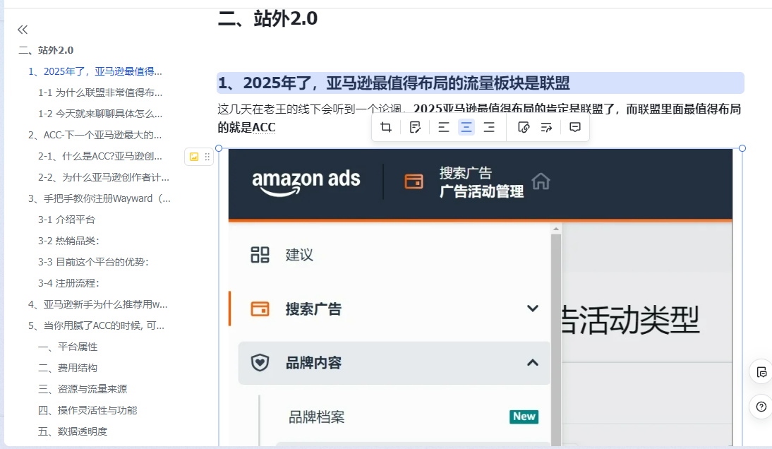 NO.49 亚马逊开放一新功能！卖家：能拦截差评了