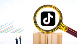 用好GMV Max，解锁TikTok Shop大促生意爆发