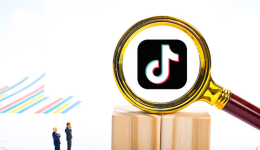 用好GMV Max，解锁TikTok Shop大促生意爆发