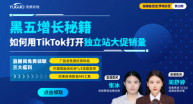 让独立站销量翻倍的黑五打法：3步上手TikTok爆单秘籍