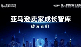 亚马逊卖家成长服务，推动Ulike开拓欧美市场、登顶全球！
