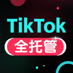 TK黑五招商峰会