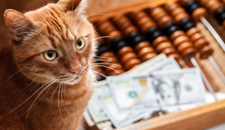 Ozon入驻联系方式与流程：从申请到开店完整步骤