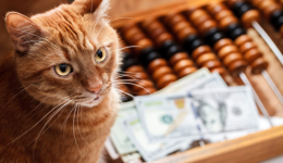 Ozon入驻联系方式与流程：从申请到开店完整步骤