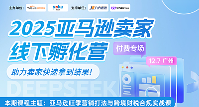 亚马逊旺季运营打法与跨境财税合规实战-2025亚马逊卖家线下孵化营【付费专场】