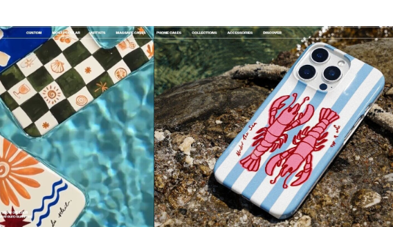 独立站优秀案例分析：手机壳品牌如何提升溢价空间？