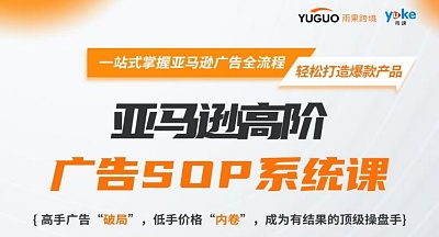 亚马逊高阶广告SOP系统课
