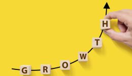 测款→入库→售后→清仓，亚马逊大卖带你解锁高利润增长