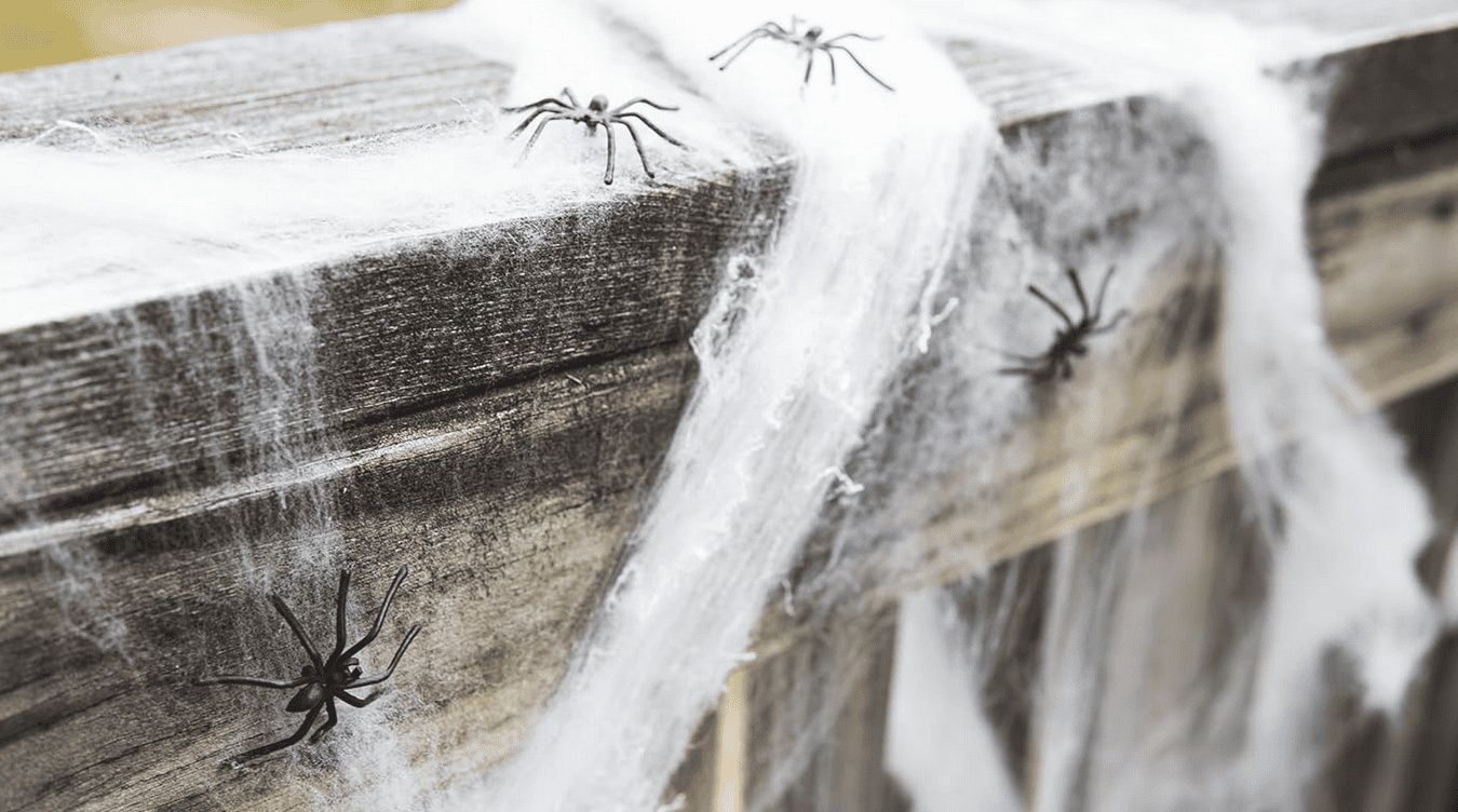 别被万圣节装饰的热度冲昏头！亚马逊新卖家必看：陷阱藏在哪？（附真实案例）