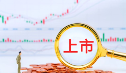 纵腾集团为什么能上市？