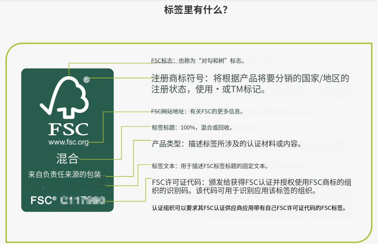 纸杯和纸袋上的“FSC”：绿色承诺与可持续森林的守卫者