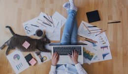 Fruugo开店费用高吗，Fruugo商家账户类型怎么选