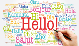 多语言网站制作如何提升询盘量？布局、内容与信任度全解析