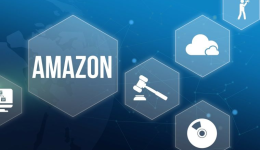 2025.11.28亚马逊产品分析：最近30天出872单