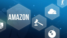 2025.11.28亚马逊产品分析：最近30天出872单