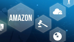 关于亚马逊VINE计划的那些问题