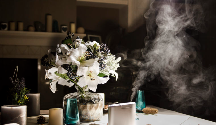 同质化严重、红海品类，北美加湿器品牌Pure Enrichment凭什么能杀出一条增长路？