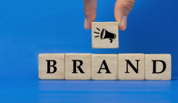 亚马逊品牌推广助力引流与转化的神秘面纱